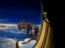 Fright at 30,000 feet